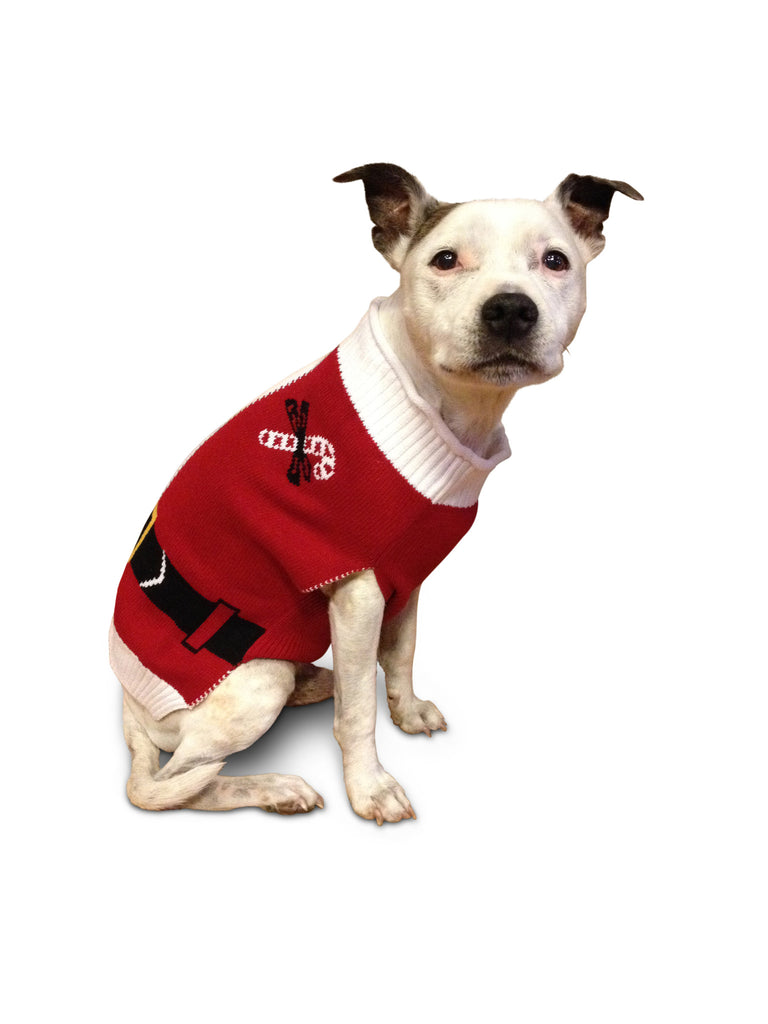 Ugly Christmas Dog Sweater - Santa Suit