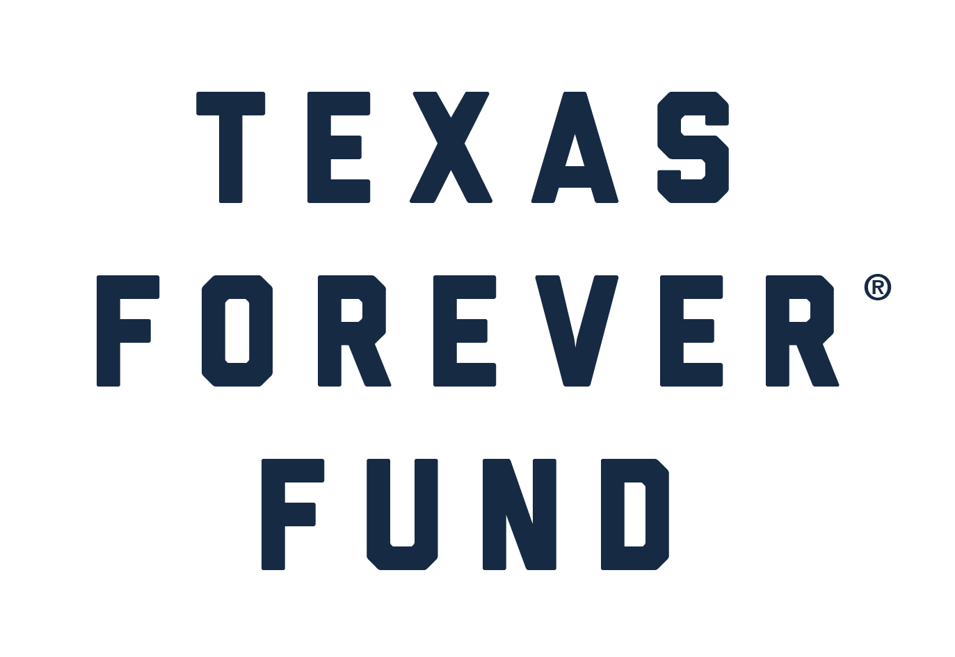 TEXAS FOREVER® DOG BANDANA
